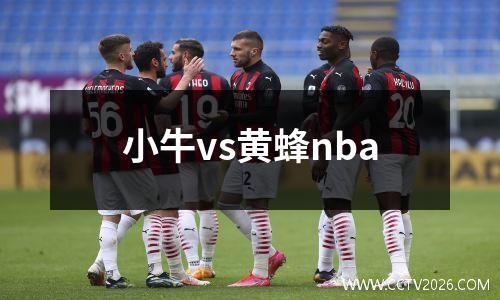 小牛vs黄蜂nba