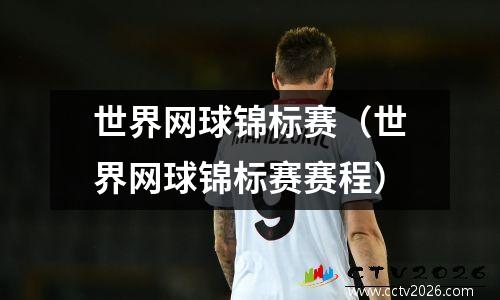 世界网球锦标赛（世界网球锦标赛赛程）
