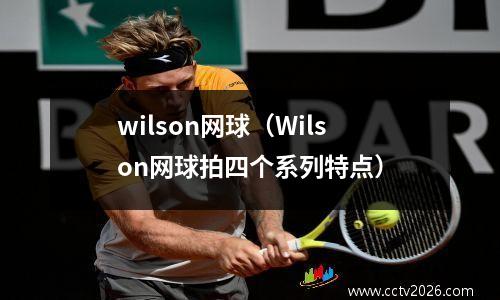 wilson网球（Wilson网球拍四个系列特点）