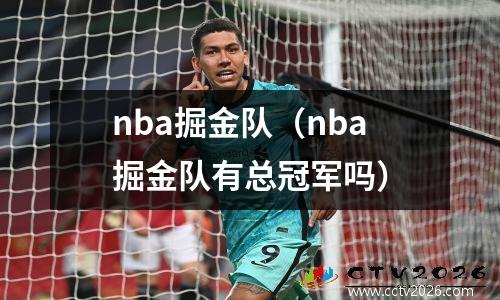 nba掘金队（nba掘金队有总冠军吗）