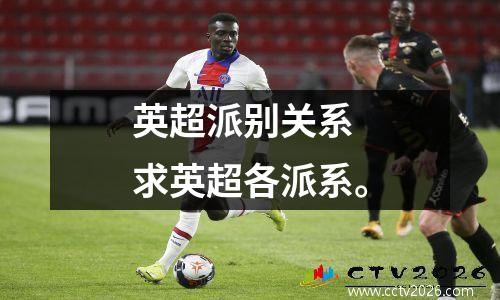 英超派别关系 求英超各派系。