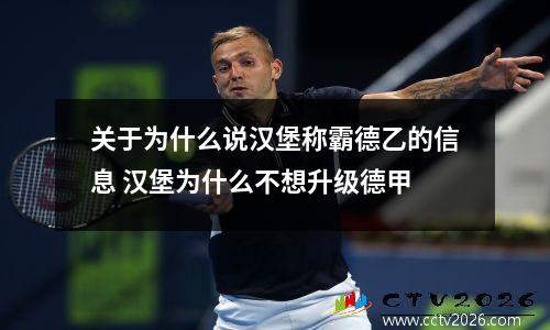 关于为什么说汉堡称霸德乙的信息 汉堡为什么不想升级德甲