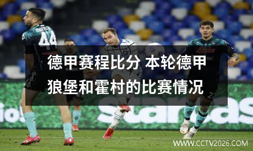 德甲赛程比分 本轮德甲狼堡和霍村的比赛情况
