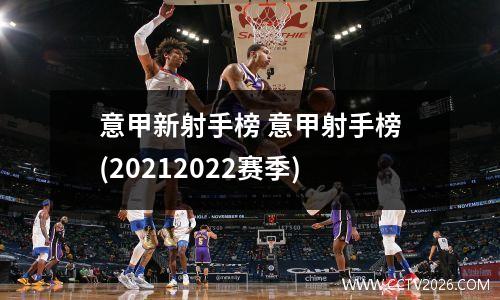 意甲新射手榜 意甲射手榜(20212022赛季)