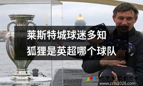 莱斯特城球迷多知 狐狸是英超哪个球队
