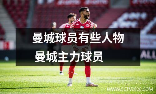 曼城球员有些人物 曼城主力球员