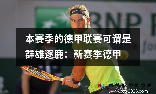 本赛季的德甲联赛可谓是群雄逐鹿：新赛季德甲
