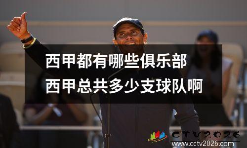 西甲都有哪些俱乐部 西甲总共多少支球队啊