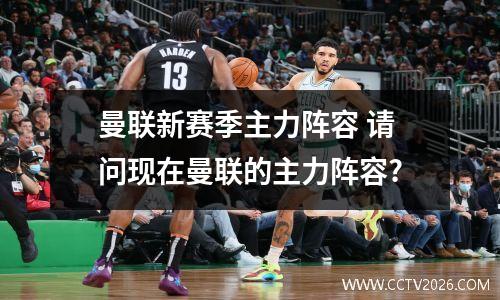 曼联新赛季主力阵容 请问现在曼联的主力阵容?