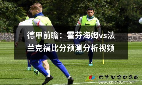 德甲前瞻：霍芬海姆vs法兰克福比分预测分析视频