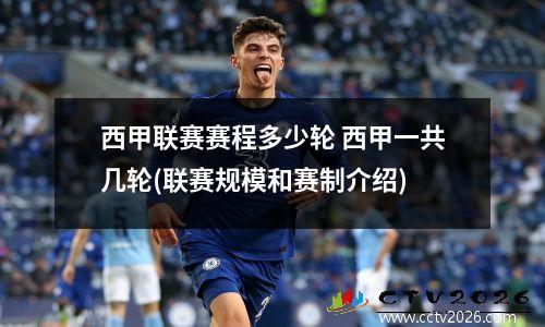 西甲联赛赛程多少轮 西甲一共几轮(联赛规模和赛制介绍)