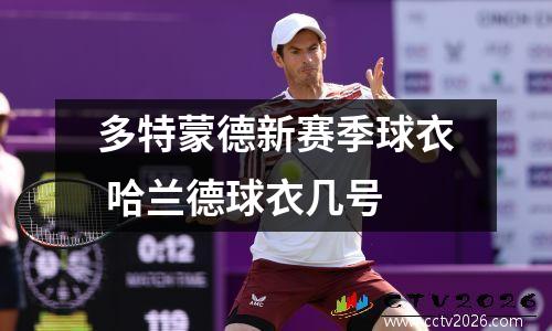 多特蒙德新赛季球衣 哈兰德球衣几号