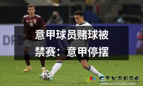 意甲球员赌球被禁赛：意甲停摆