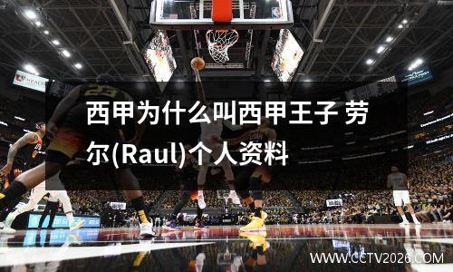 西甲为什么叫西甲王子 劳尔(Raul)个人资料