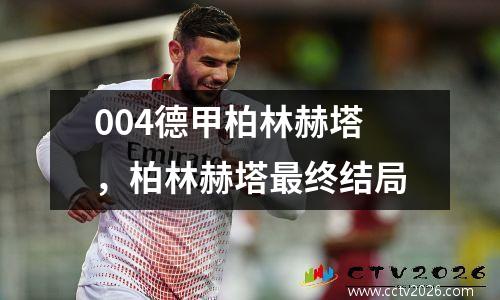 004德甲柏林赫塔，柏林赫塔最终结局