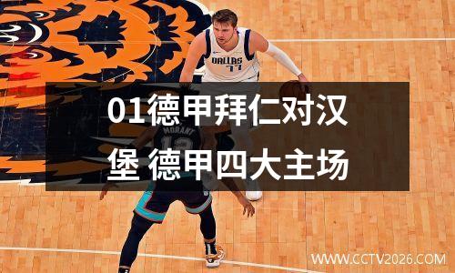 01德甲拜仁对汉堡 德甲四大主场