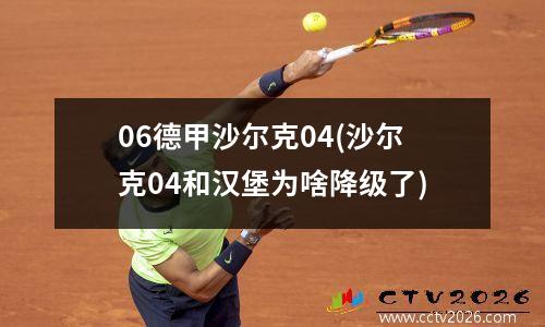 06德甲沙尔克04(沙尔克04和汉堡为啥降级了)
