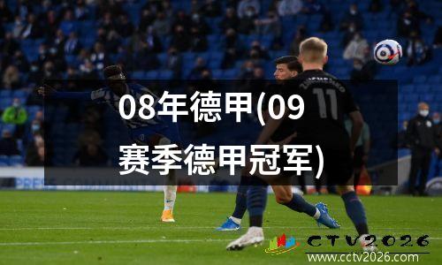 08年德甲(09赛季德甲冠军)