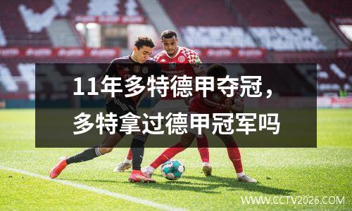 11年多特德甲夺冠，多特拿过德甲冠军吗