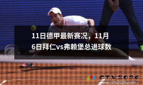 11日德甲最新赛况，11月6日拜仁vs弗赖堡总进球数