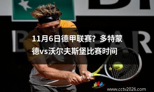 11月6日德甲联赛？多特蒙德vs沃尔夫斯堡比赛时间