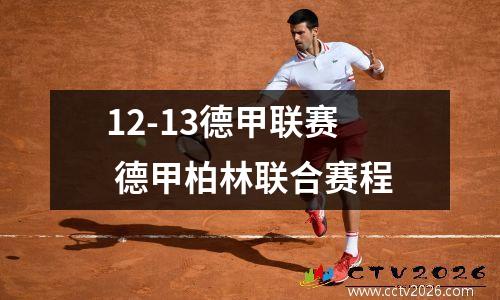 12-13德甲联赛 德甲柏林联合赛程