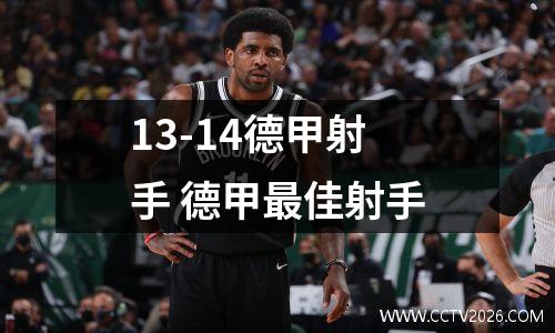 13-14德甲射手 德甲最佳射手