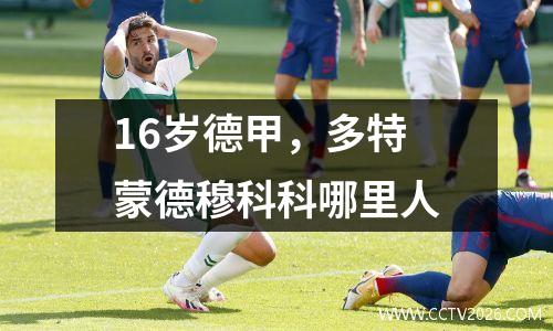 16岁德甲，多特蒙德穆科科哪里人