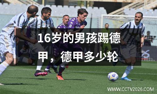 16岁的男孩踢德甲，德甲多少轮