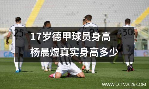 17岁德甲球员身高 杨晨煜真实身高多少