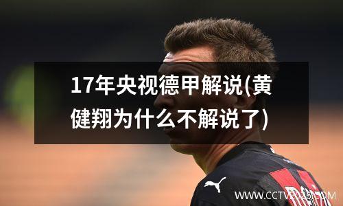 17年央视德甲解说(黄健翔为什么不解说了)