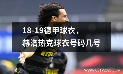 18-19德甲球衣，赫洛热克球衣号码几号