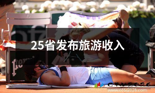 25日德甲(德甲沃尔夫斯堡赛程)