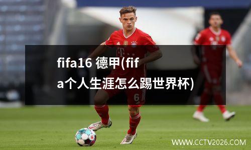 fifa16 德甲(fifa个人生涯怎么踢世界杯)