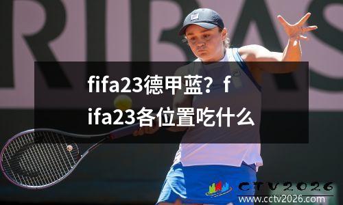 fifa23德甲蓝？fifa23各位置吃什么