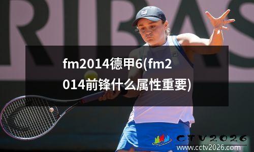 fm2014德甲6(fm2014前锋什么属性重要)