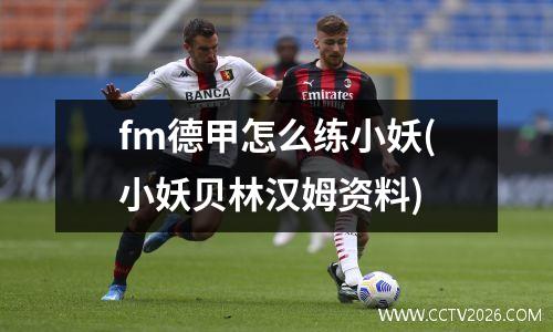 fm德甲怎么练小妖(小妖贝林汉姆资料)