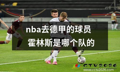 nba去德甲的球员 霍林斯是哪个队的