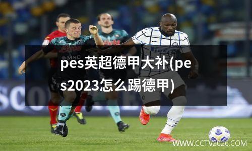 pes英超德甲大补(pes2023怎么踢德甲)