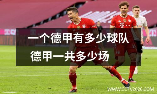 一个德甲有多少球队 德甲一共多少场