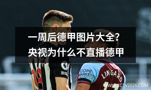 一周后德甲图片大全？央视为什么不直播德甲