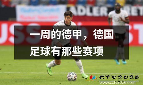 一周的德甲，德国足球有那些赛项