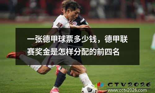 一张德甲球票多少钱，德甲联赛奖金是怎样分配的前四名