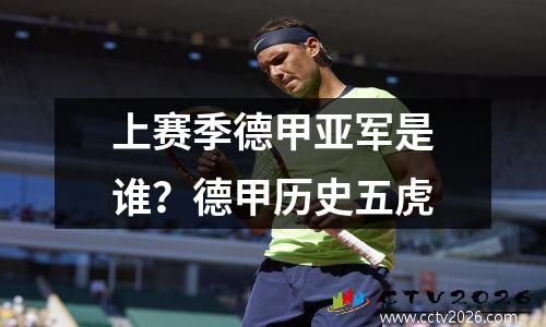 上赛季德甲亚军是谁？德甲历史五虎