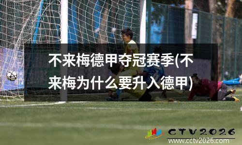 不来梅德甲夺冠赛季(不来梅为什么要升入德甲)