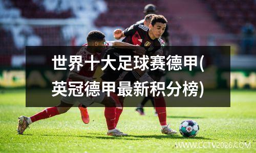 世界十大足球赛德甲(英冠德甲最新积分榜)