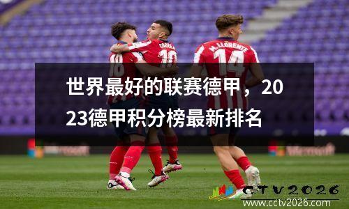 世界最好的联赛德甲，2023德甲积分榜最新排名