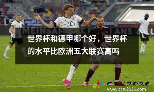 世界杯和德甲哪个好，世界杯的水平比欧洲五大联赛高吗
