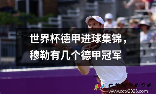 世界杯德甲进球集锦，穆勒有几个德甲冠军
