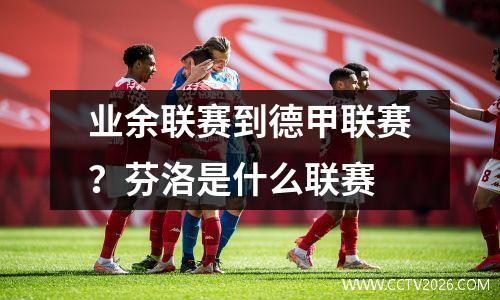 业余联赛到德甲联赛？芬洛是什么联赛